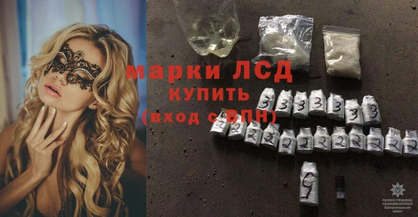 индика Сосновый Бор