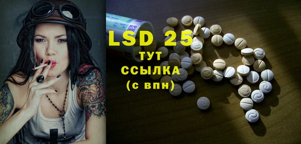 ПСИЛОЦИБИНОВЫЕ ГРИБЫ Баксан