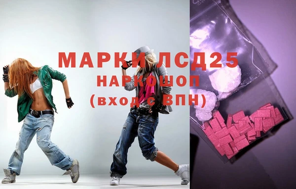 прущие грибы Сосновоборск